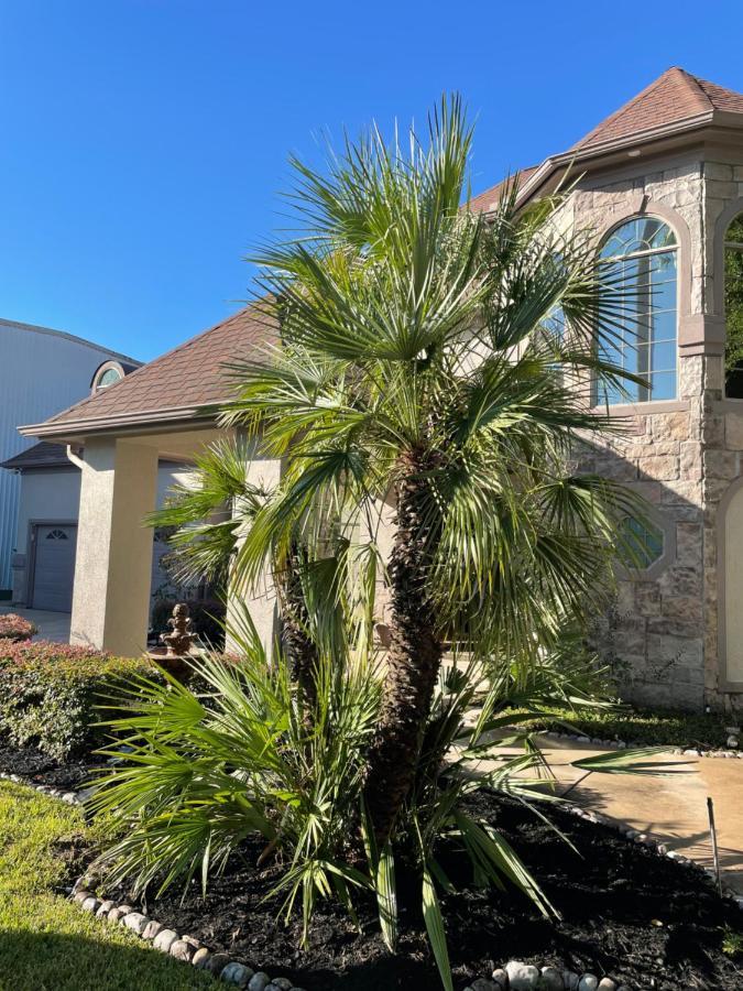 Villa Luxuria Mini-Mansion Near Houston Downtown Esterno foto